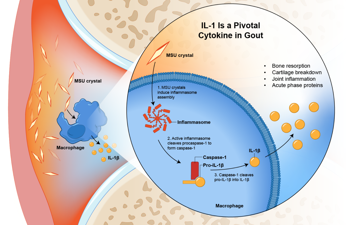 molecular-level